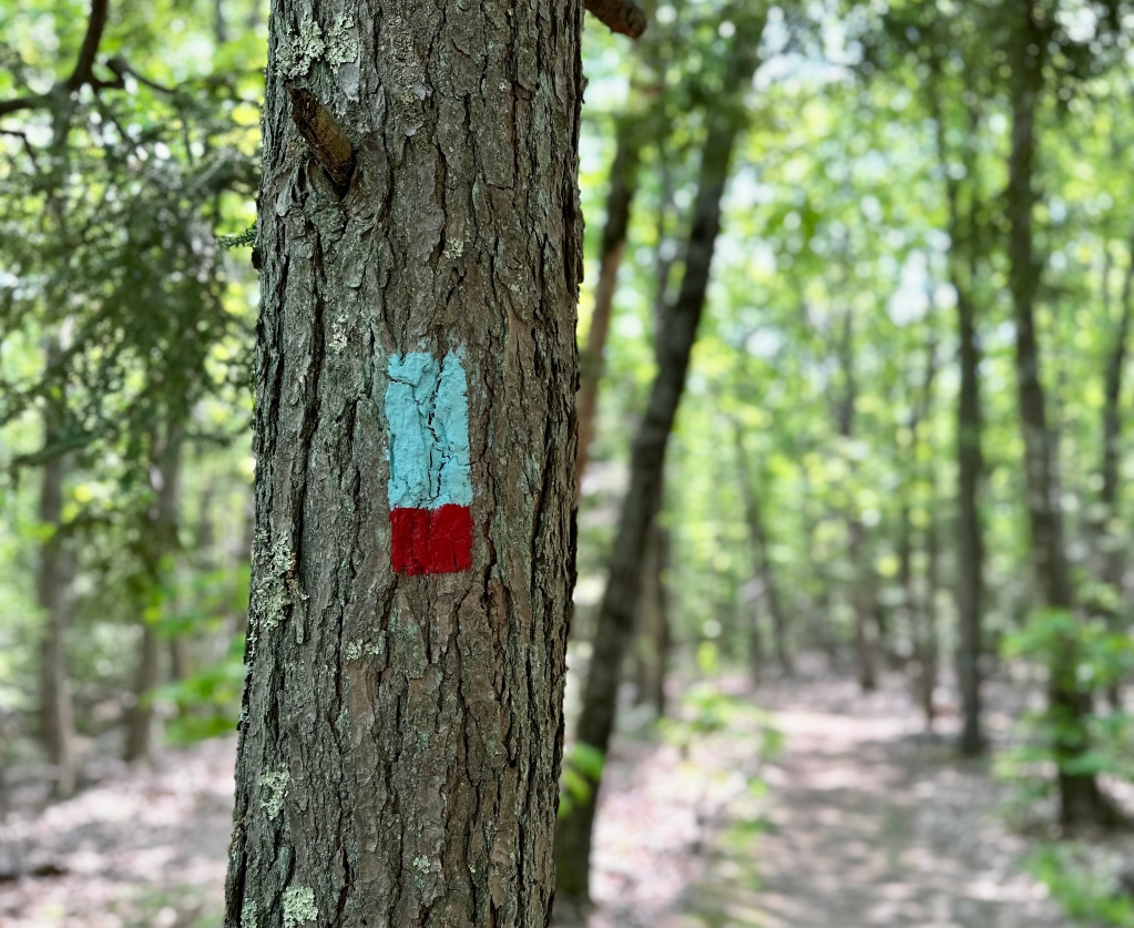 Ragged Mountain, Berlin Connecticut, Blue and Red Trail